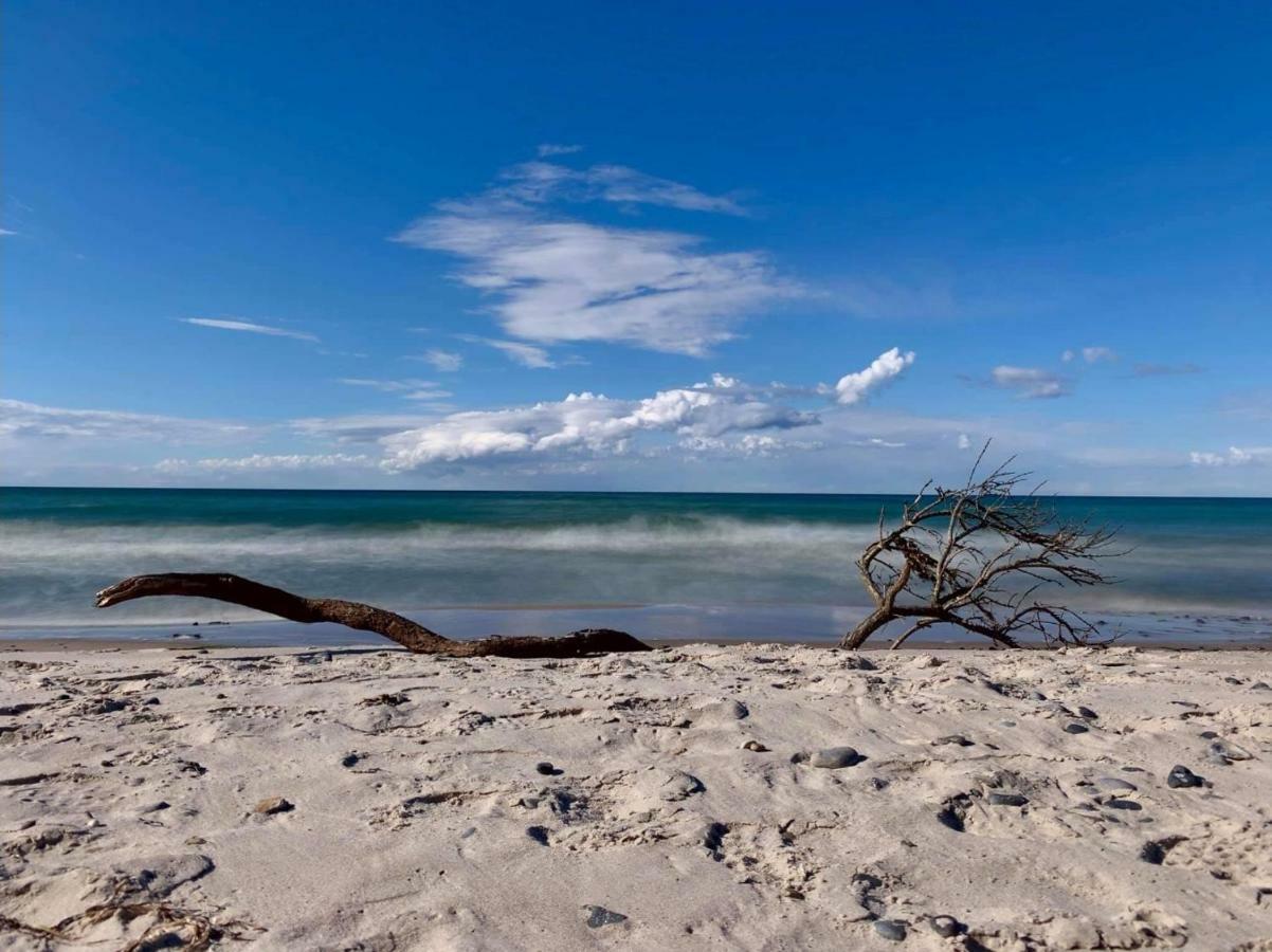 Ferienapartment Wiese & Meer Auf Ruegen 耐德西茨 外观 照片