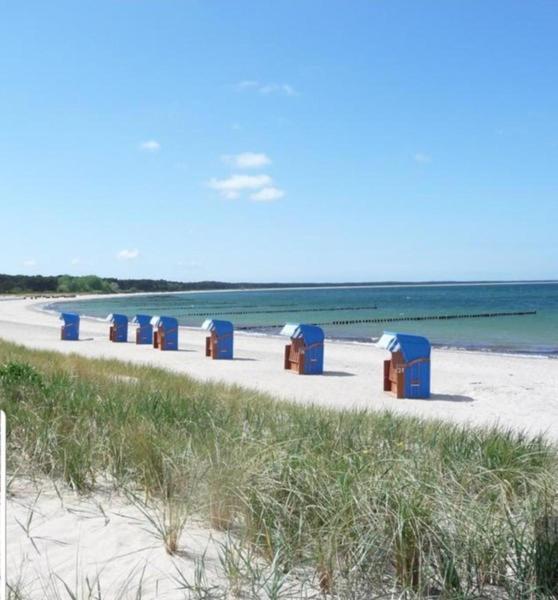 Ferienapartment Wiese & Meer Auf Ruegen 耐德西茨 外观 照片