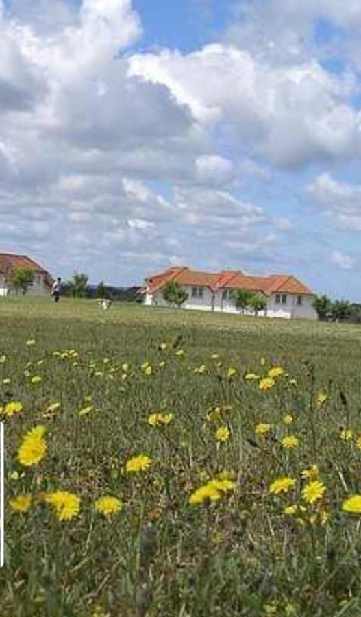 Ferienapartment Wiese & Meer Auf Ruegen 耐德西茨 外观 照片
