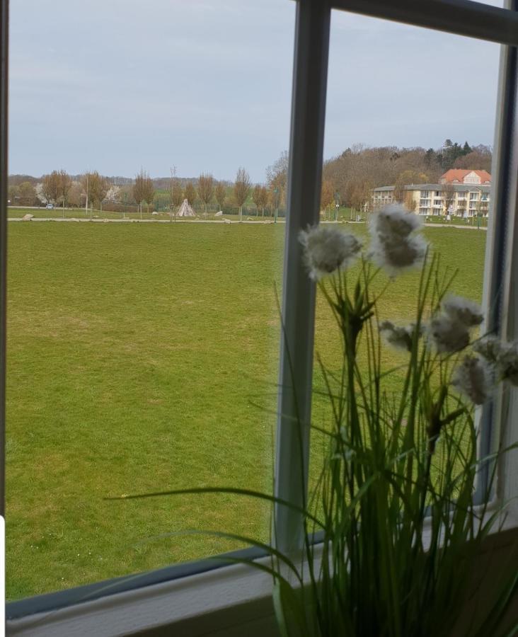 Ferienapartment Wiese & Meer Auf Ruegen 耐德西茨 外观 照片